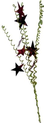 Decorated Branch with Stars, 43cm