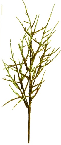 Barren Branch Spray, 64cm