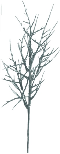 Barren Branch Spray, 64cm