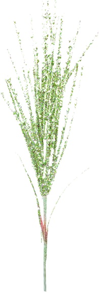 Leaf Spray, Glitter Reed, 90cm