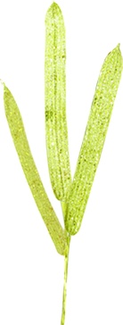 Leaf Spray, 38cm