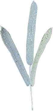 Leaf Spray, 38cm