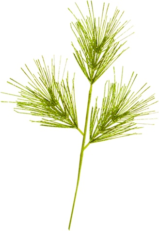 Weed Spray, 60cm