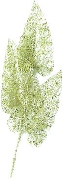 Skeleton Leaf Spray, 69cm
