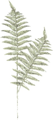 Leaf Spray, 68cm
