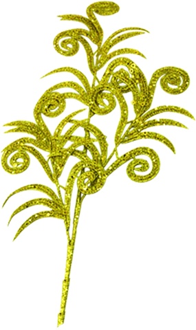 Curly Spray, 80cm