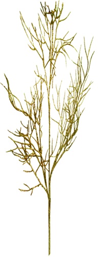 Barren Branch Spray, 80cm