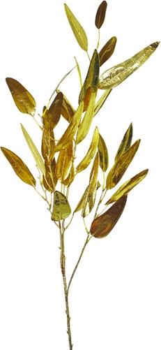 Slim Leaf Spray, 152cm