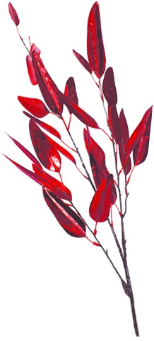 Slim Leaf Spray, 152cm