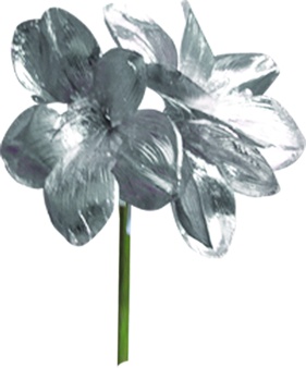 Shiny 3-headed Poinsettia, 1m