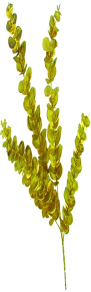 Mini Leaf Spray, 90cm