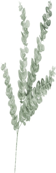 Mini Leaf Spray, 90cm