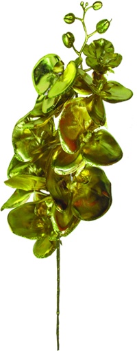 Flowery Spray, 1m