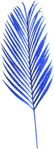 Leaf Spray Palm Frond, 75cm