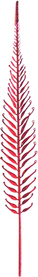 Slim Leaf Spray, 98cm