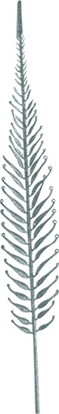 Slim Leaf Spray, 98cm