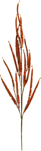 Leaf Spray, 80cm