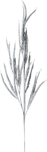 Leaf Spray, 80cm