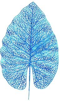 Glittered Leaf, 42cm