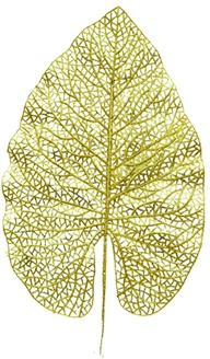 Glittered Leaf, 42cm