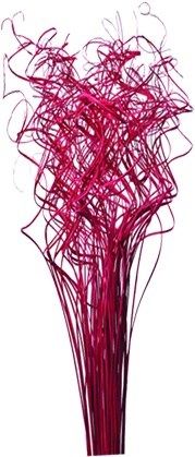 Curly Sticks, 70cm