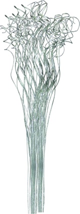 Curly Ting Ting, 70cm