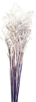 Curly Ting Ting, 70cm