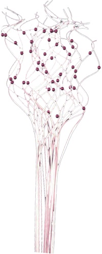 Curly Twig Spray, 60cm