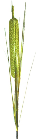 Glitter Reed Spray, 66cm