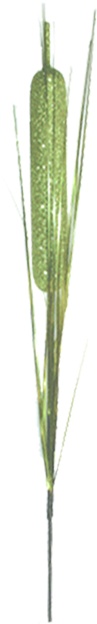 Glitter Reed Spray, 66cm