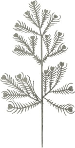 Leaf Pick, 27cm