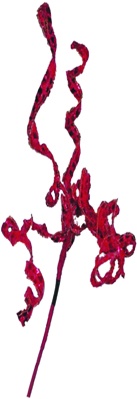 Metallic Curly Pick, 58cm