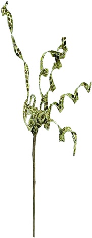 Metallic Curly Pick, 58cm