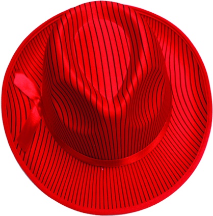 Pinstripe Fedora Hat