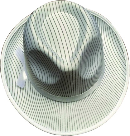 Pinstripe Fedora Hat