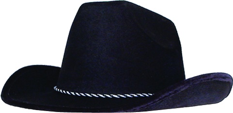 Cordband Shiny Fabric Cowboy Hat