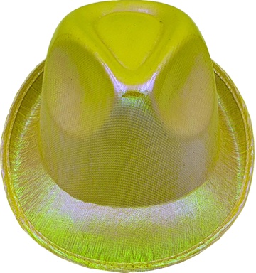 Fedora Party Hat