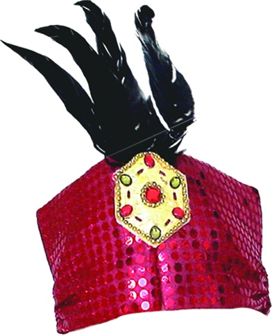 Sequin Crown