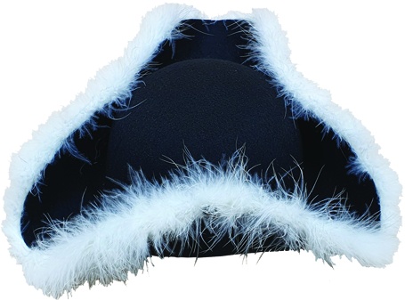Felt Musketeer Hat