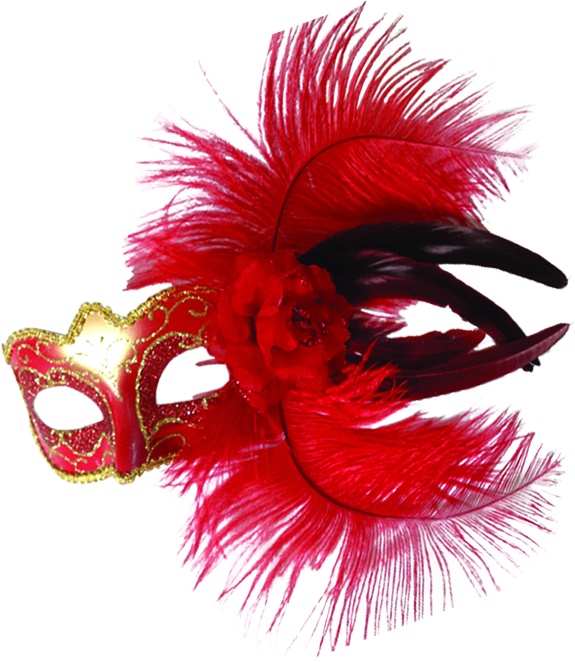 Feather Mask Side Rosette Plume