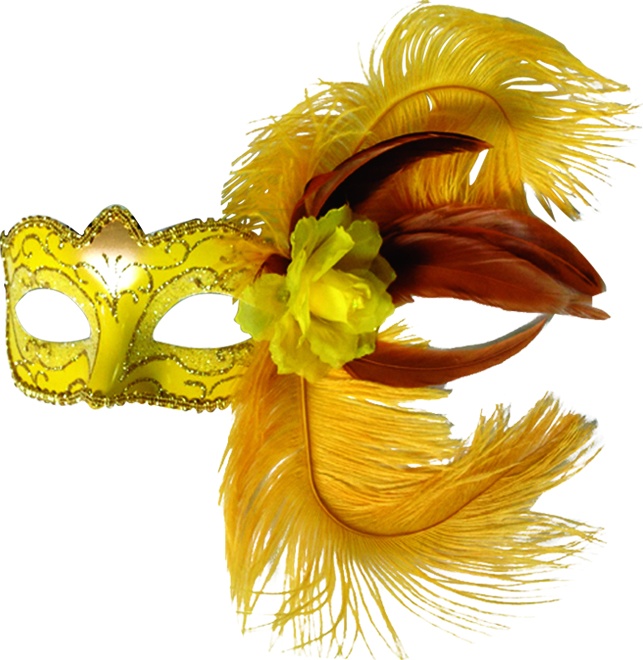 Feather Mask Side Rosette Plume