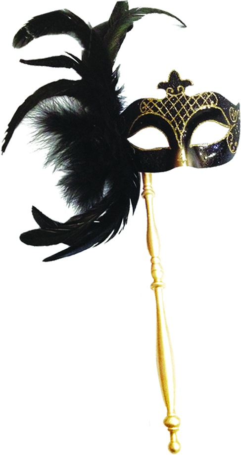 Feather Mask with Stick