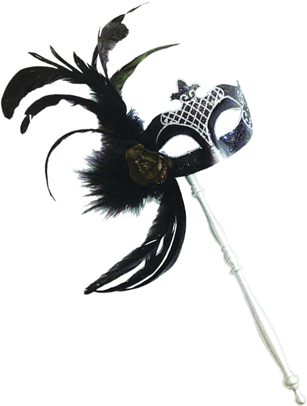 Feather Mask with Stick