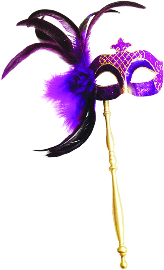 Feather Mask with Stick