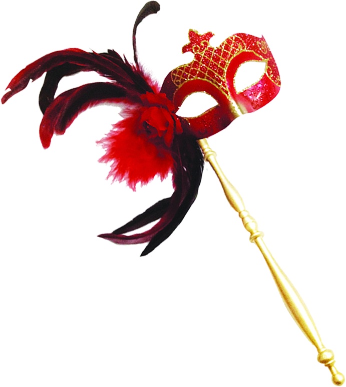 Feather Mask with Stick
