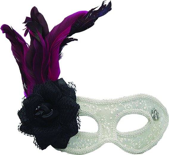 Feather Mask Lace Rosette Plume