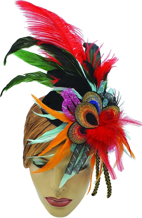 Feather Headdress Peacock Spray