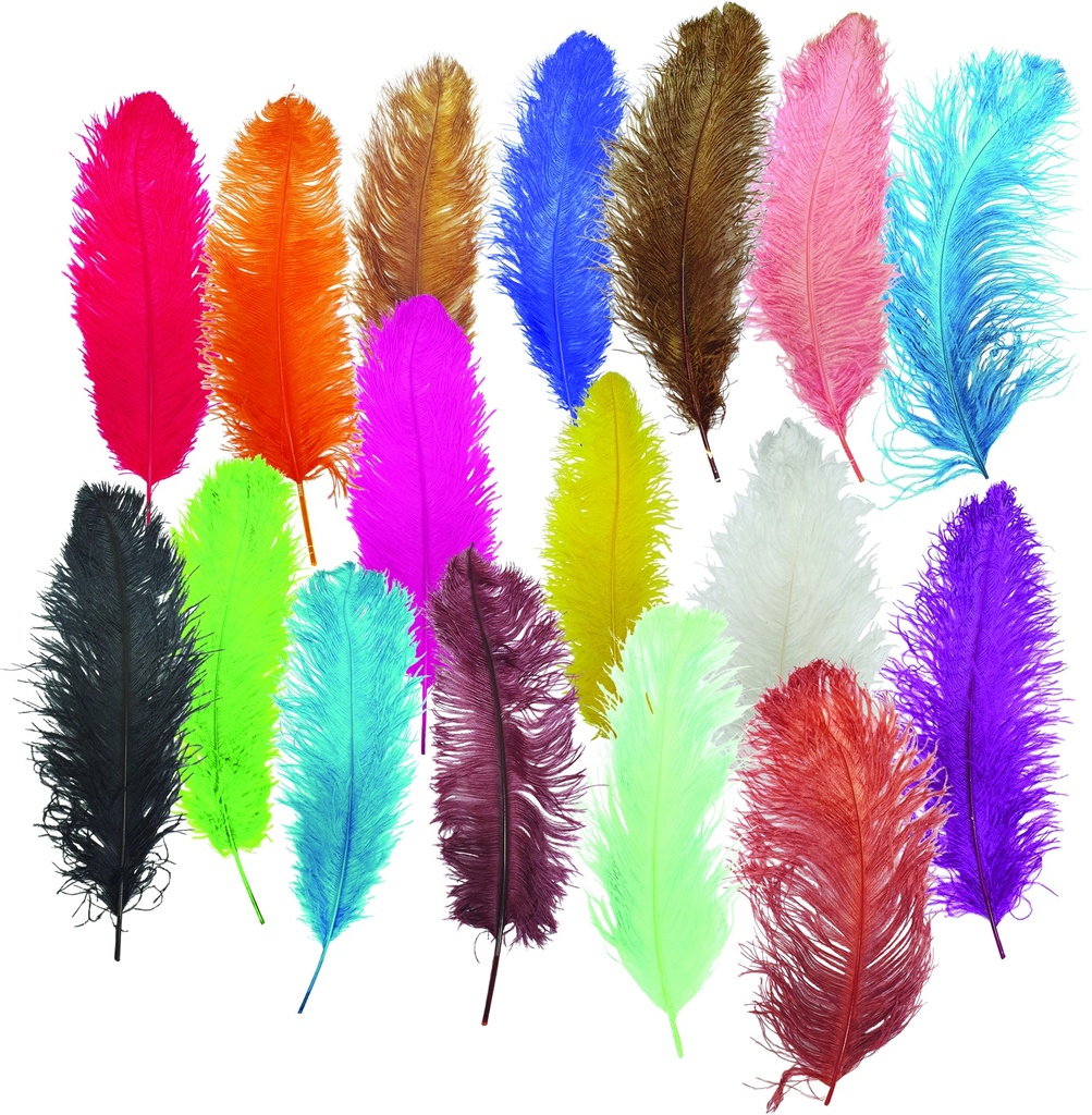 Ostrich Feather Wispy Plume