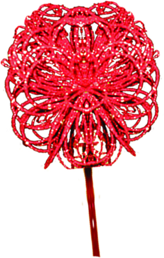 Ball Spray, 40cm