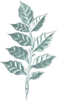 Leaf Branch, 19cm